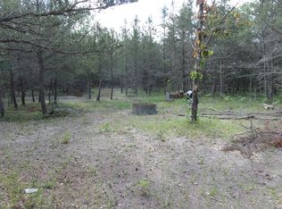 Trappers Trl, Grayling, MI 49738