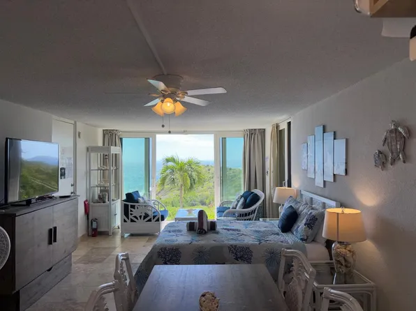 2A Watergate Villas East St, Saint Thomas, VI 00802