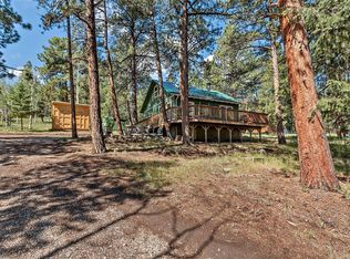 704 Yellow Pine Dr, Bailey, CO 80421