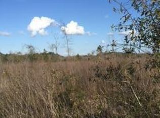 Xxx New Ebenezer Rd, Laurel Hill, FL 32567