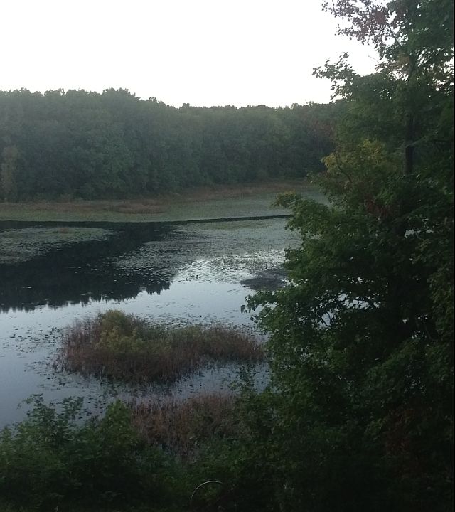 1st image of 8350 Chain O Lakes Dr
