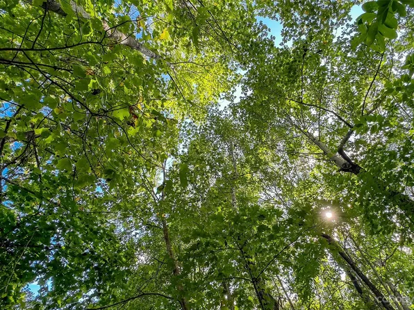 0 Arcadia Falls Way #122-A, Black Mountain, NC 28711