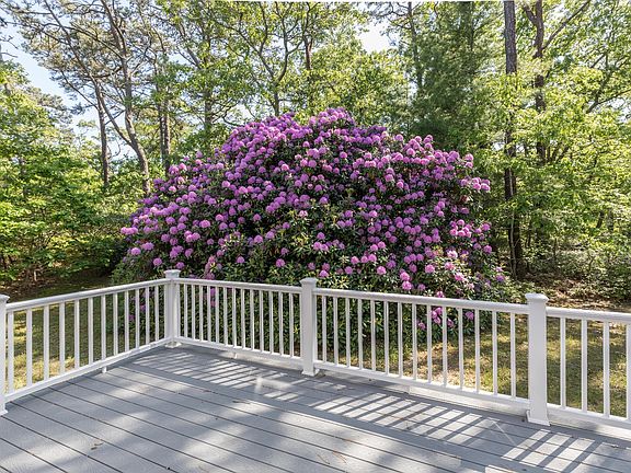 5th image of 16 Majors Cove Ln
