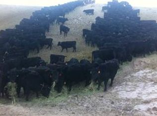 148 Riverview Rd, Wheatland, WY 82201