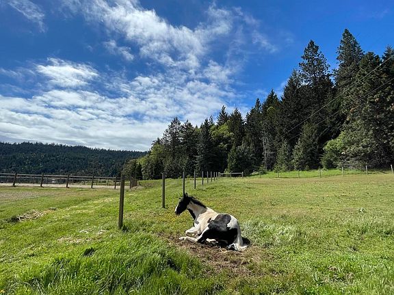 5th image of 5631 Old Highway 99 S