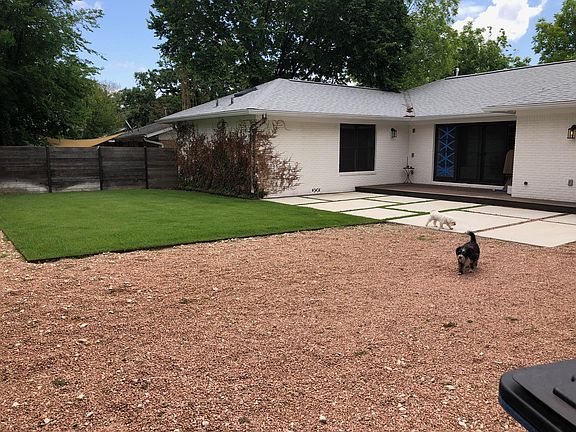 Back yard (dogs not included).