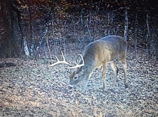 11043 Stage Coach Rd, Nathalie, VA 24577