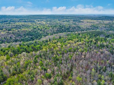 Old Collins Tpke, Deer Lodge, TN, 37726