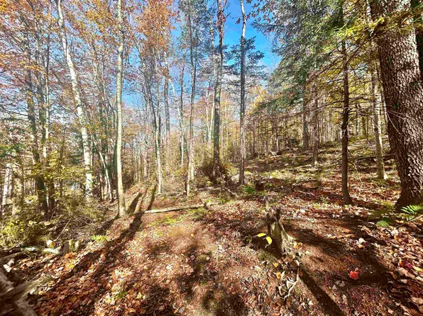 00 Heartwellville View Road Lots 78 & 79, Readsboro, VT 05350