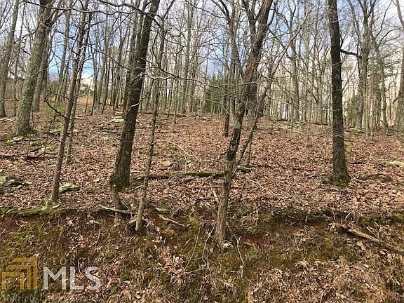 3rd image of 906 Lake Arrowhead Dr