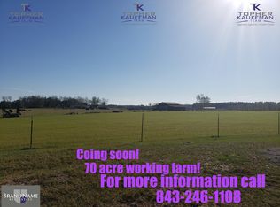 922 Binnicker Bridge Rd, Cope, SC 29038