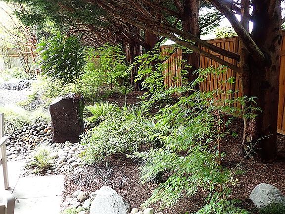 Water Feature in back yard