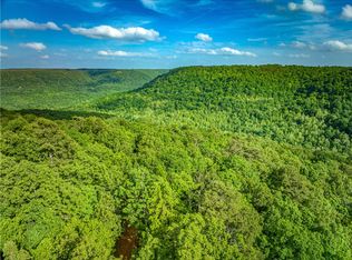 213 Scenic Dr, Witts Springs, AR 72686
