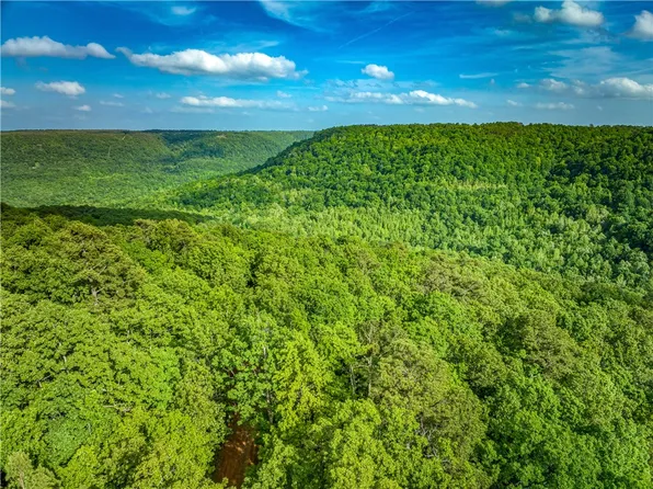 213 Scenic Dr, Witts Springs, AR 72686