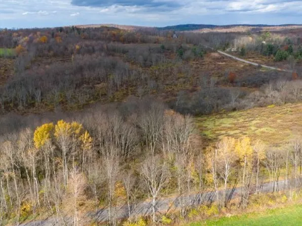 Owp County Rd #36, Norwich, NY 13815