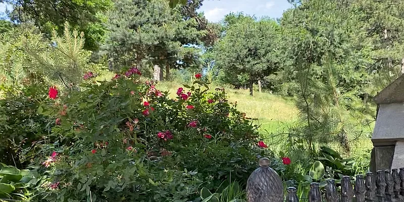 Rented by Brooklyn Properties | media 21