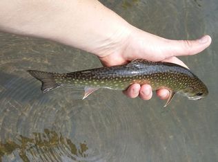 Hunter Rd, Claryville, NY 12725