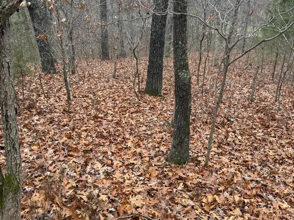 000 Timberline Road, Willow Springs, MO 65793