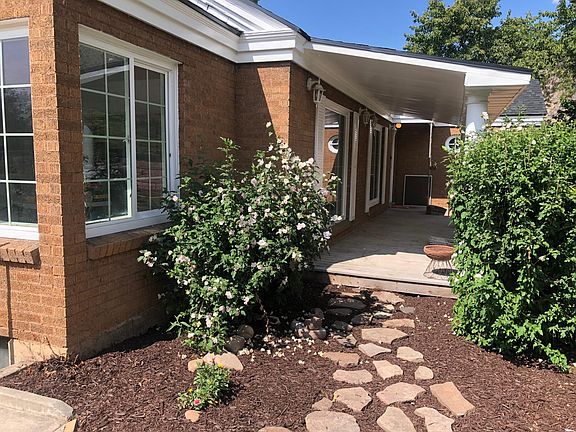 Mature trees and shrubs.