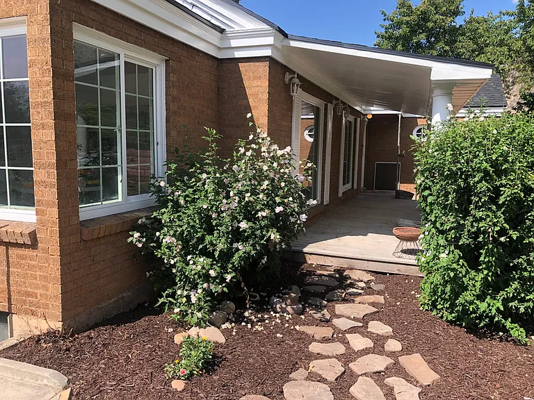 Mature trees and shrubs.