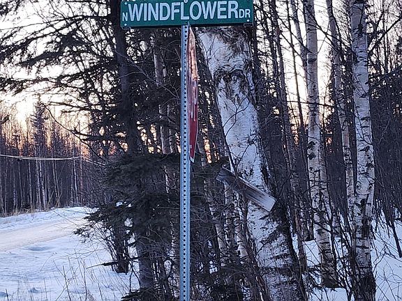 2nd image of Foxwood Add 1 Tract #C