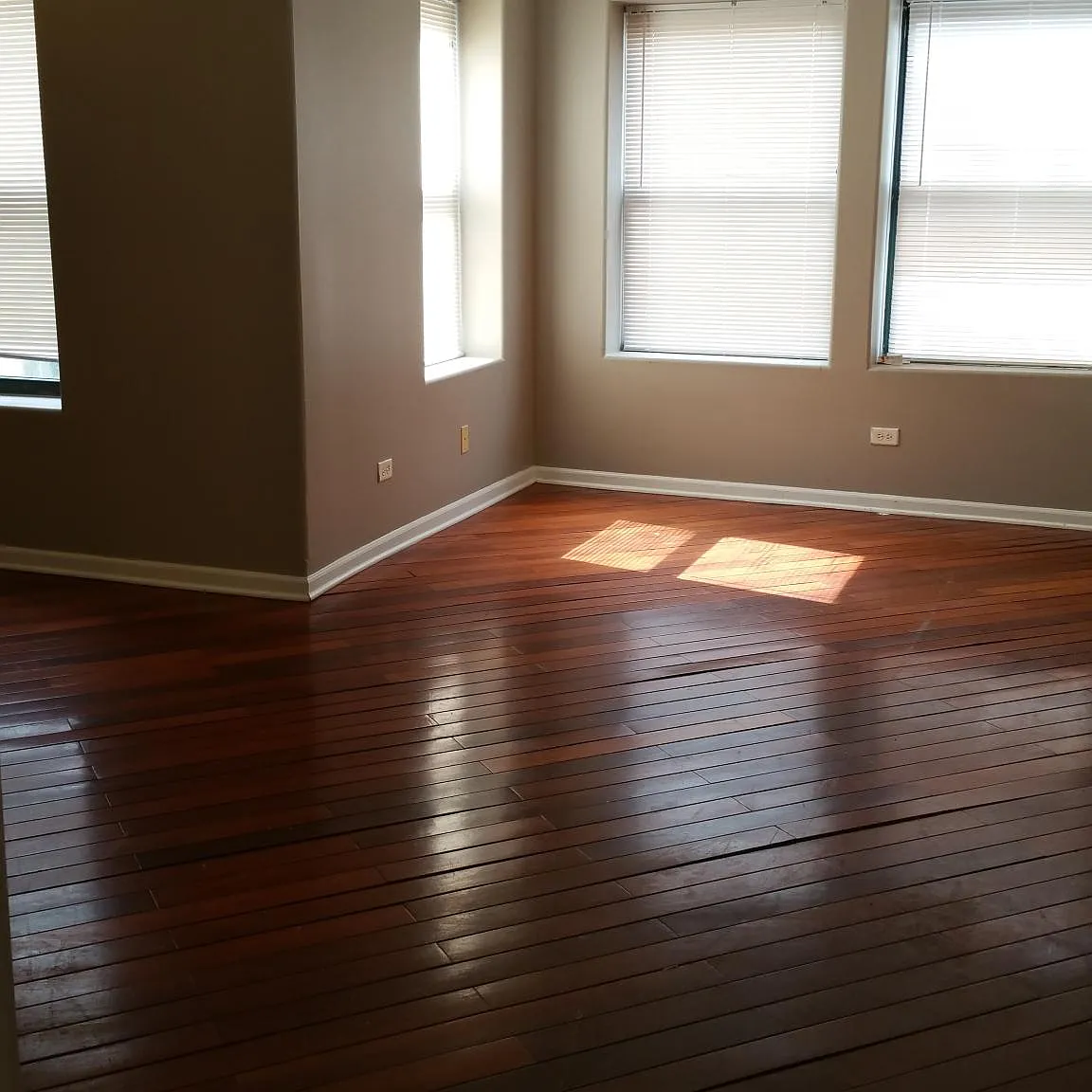 3 bed, 1000 sqft, $1,800 — Photo 2