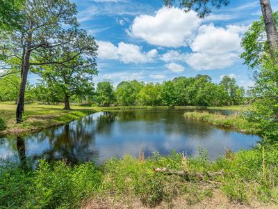 18954 Chance Rd, Florala, AL, 36442