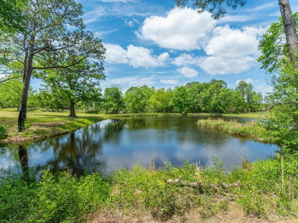 18954 Chance Rd, Florala, AL 36442