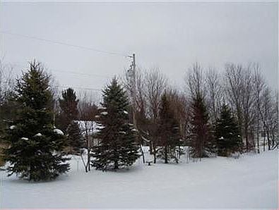 5th image of 3922 Spruce Ln