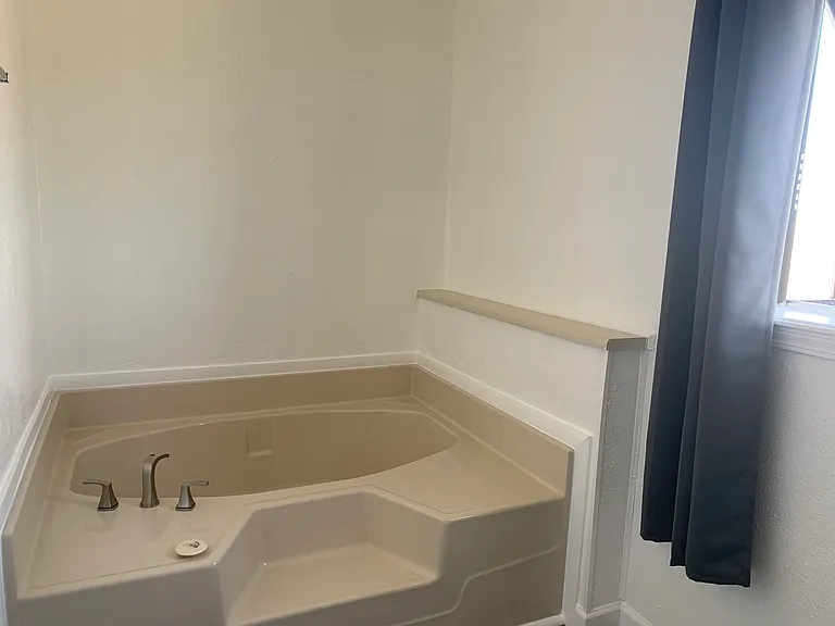 Master Bath Tub