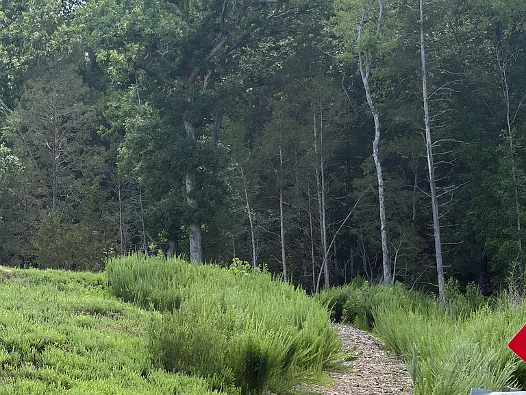 Walk the greenway.