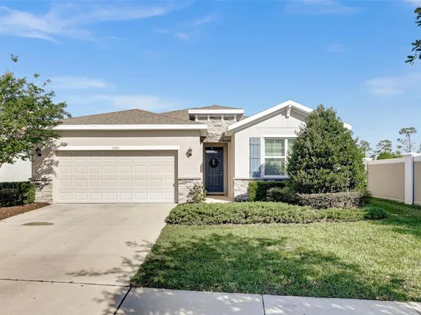 11925 Cross Vine Dr, Riverview, FL 33579