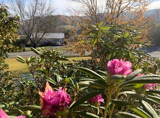 61 Bennett Rd, Candler, NC 28715