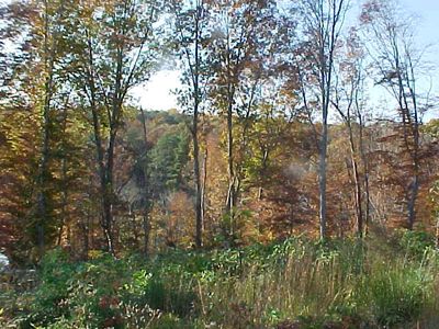 145 Little Creek Rd, Warsaw, VA, 22572