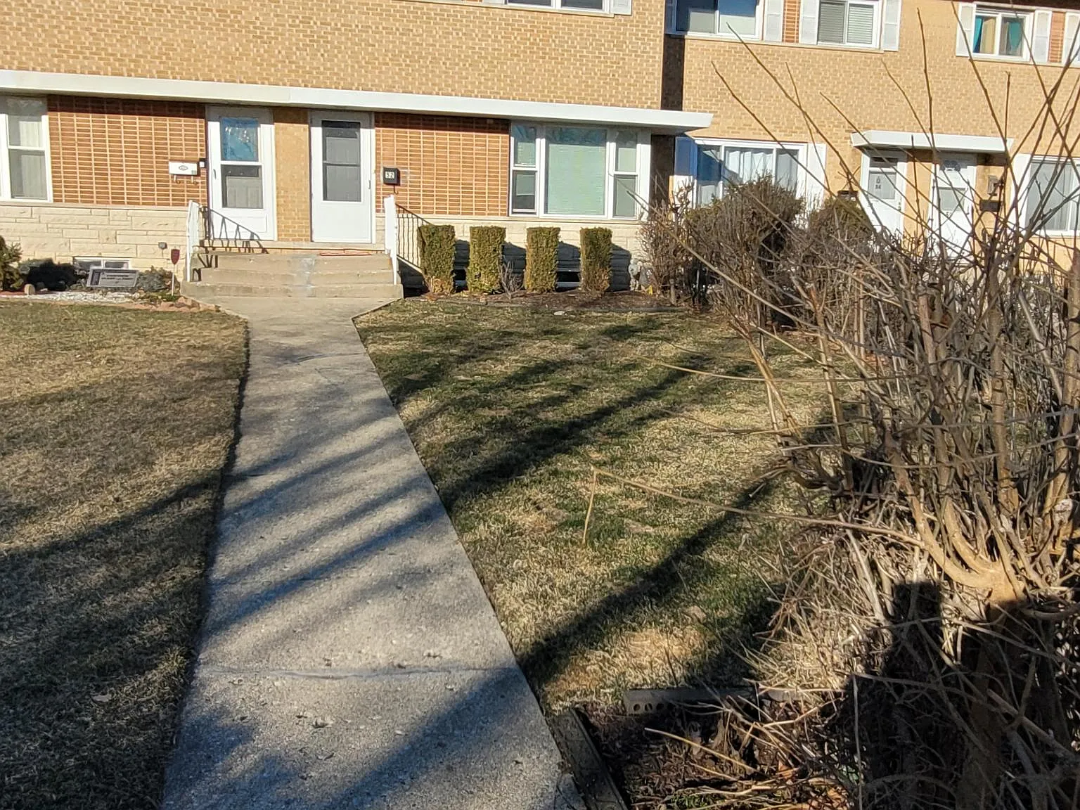 N Albert St, Mount Prospect — Photo 3