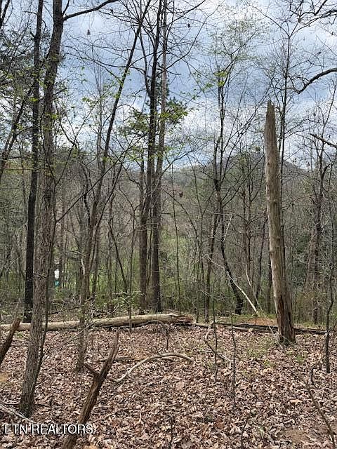 1st image of 151 Hennessey Mountain Brisk Way