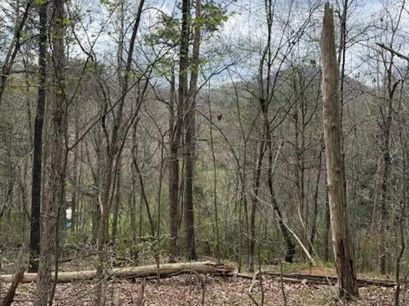 151 Hennessey Mountain Brisk Way, Cosby, TN 37722