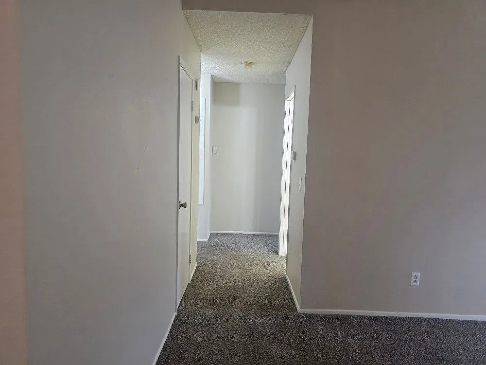 3 bed, 2.0 bath, 1277 sqft, $3,000 — Photo 2