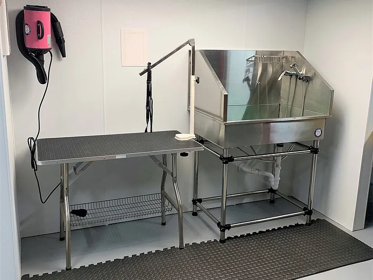 Pet Washing Station