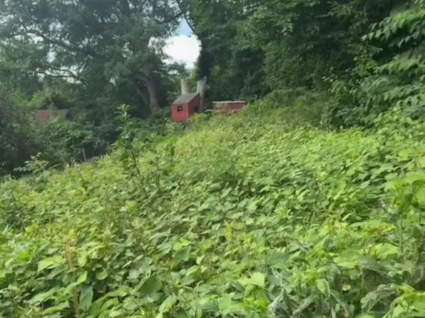 398 Nugent St, Staten Island, NY 10306