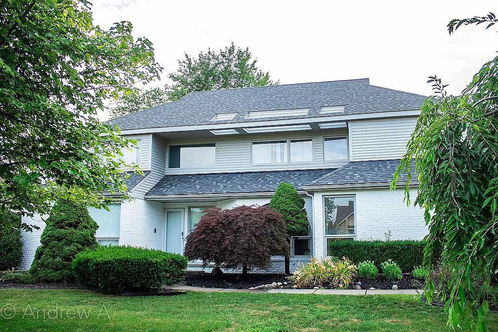 29803 White Hall Dr photo 1