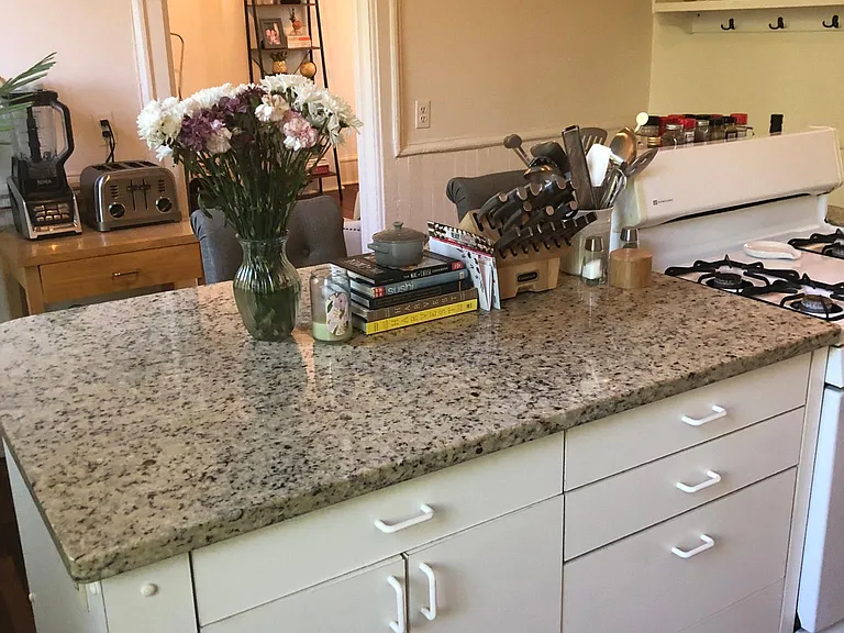 1117 W Dickens Ave #2 — Photo 8
