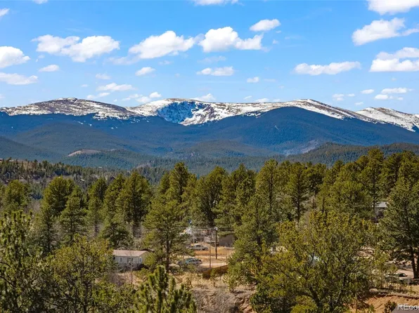 211 Appleby Street, Bailey, CO 80421