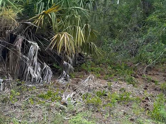 3rd image of 3246 Forkland Rd SE