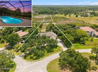 10400 Ramble Ridge Ct, Weeki Wachee, FL 34613