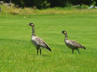99-1852 Pukeawe Cir, Volcano, HI 96785