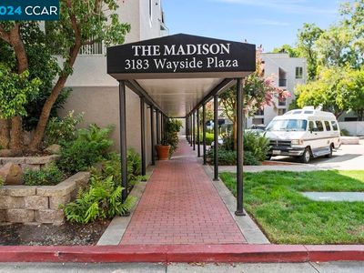 3183 Wayside Plz APT 202, Walnut Creek, CA, 94597