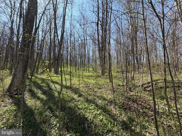 Adj 216 Rock Cut Rd, Central City, PA 15926
