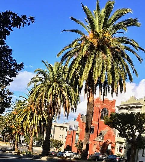 Dolores Median