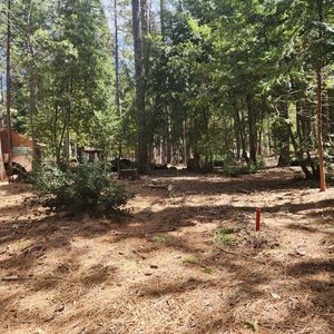 11254 Winding Way, Clipper Mills, CA, 95930